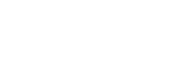 digitalscouting
